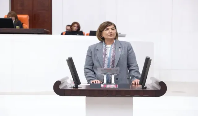 Suna Kepolu Ataman: "PKK’nin güçlerini çekme kararı, oldukça sıcak ve saygıdeğer bir adımdır”