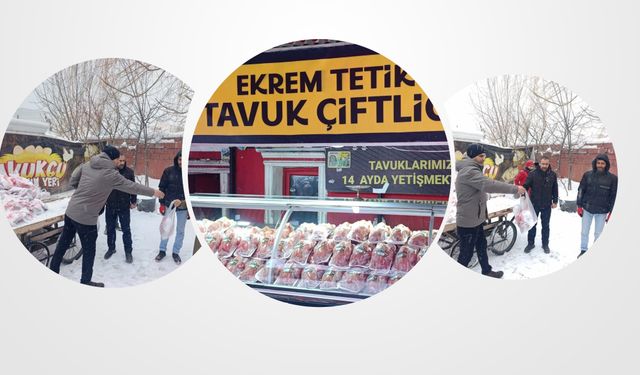 Eksi 25 Derecede Gönülleri Isıtan Hayır: Ağrılı İş İnsanlarından 500 Organik Tavuk Desteği