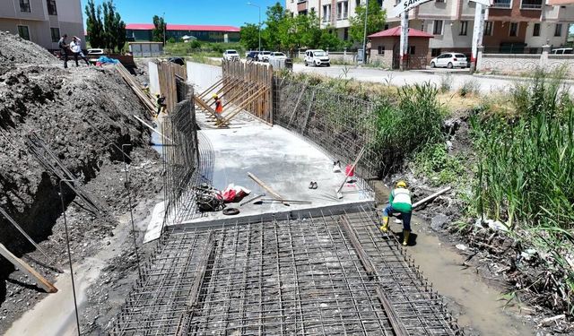 DSİ, Ağrı’daki taşkınlara karşı önlemlerini alıyor!