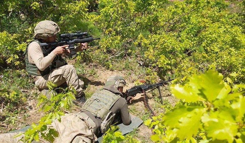 Gri kategoride aranan PKK'lı Terörist Bitlis'te Etkisiz Hale Getirildi