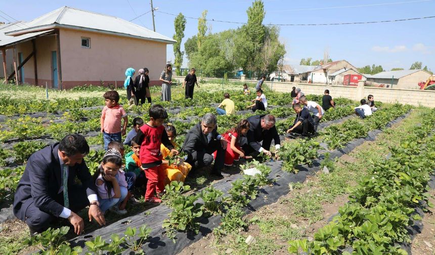 Okul Bahçesinde ‘Ağrı'dan Çileğe Dokunuş’ Projesi Gerçekleştirildi