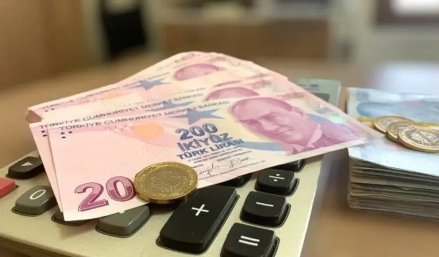 Sosyal Ekonomik Destek Ödemeleri Hesaplarda