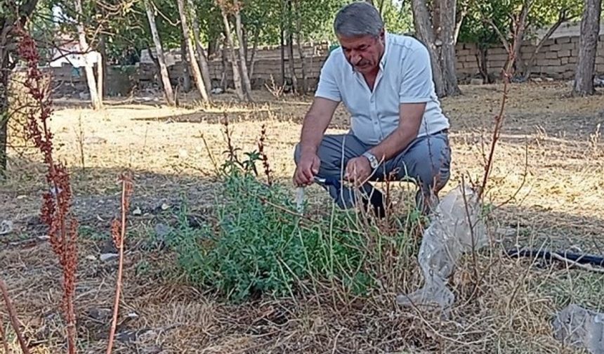 Başkan Taşkın,  evlerde  su incelemesinde bulundu