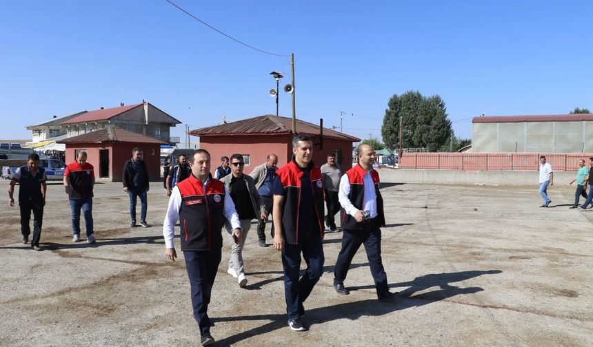 Mehmet Hüseyinoğlu, Ağrı Hayvan Borsası’nda incelemelerde bulundu