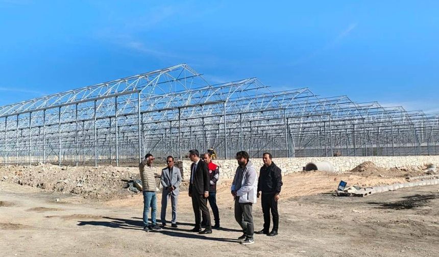 Ağrı İl Tarım ve Orman Müdürü Hüseyinoğlu’ndan yeni seralara ziyaret