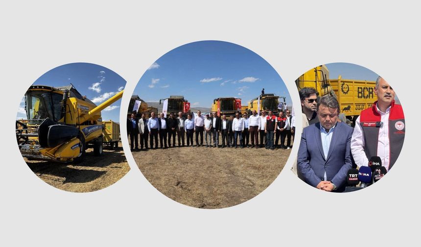 Ağrı’da sezonun ilk buğday hasadında verim ve kalite beklentisi yüksek