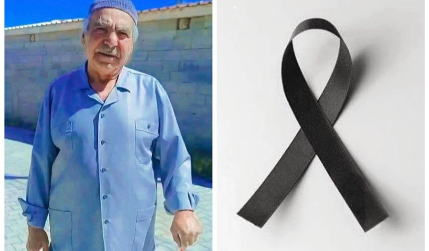 Ali Alp Vefat Etti