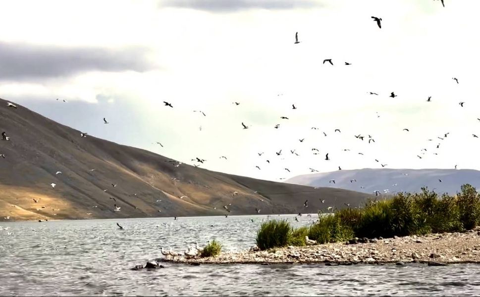 Balık Gölü, misafirperverliğe devam ediyor